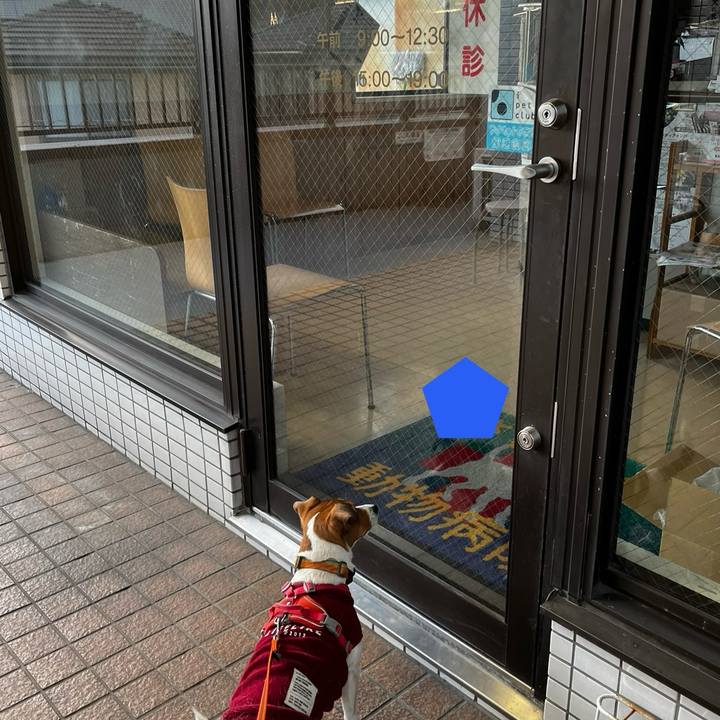 8e38d5fe a0ac 4f54 a205 30b33f7dcb1c 1735471076122