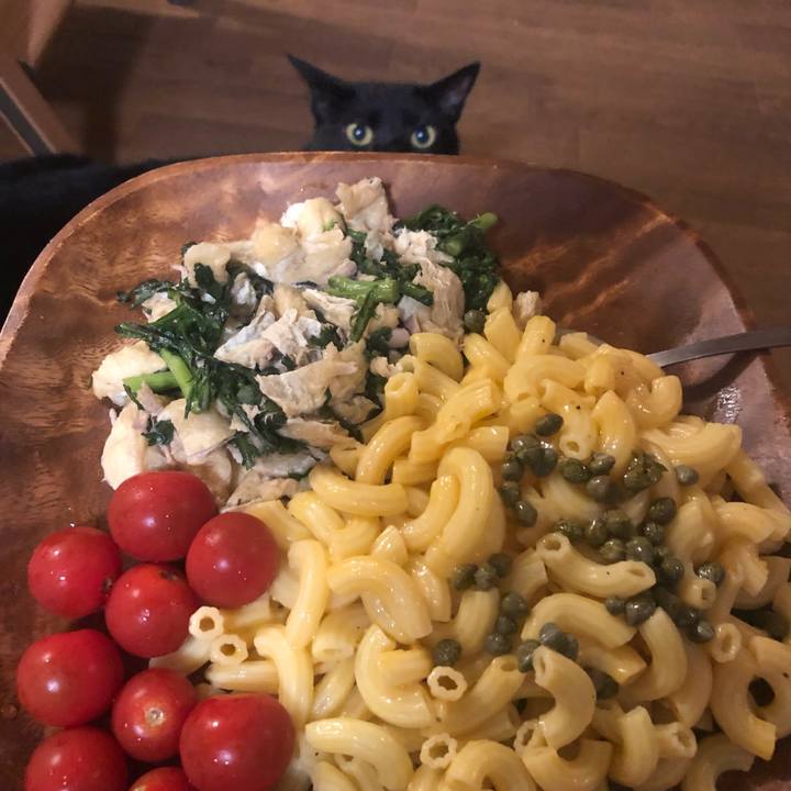 8e38dd13 3965 4744 b39e 74905a05c9a8 1625050378370