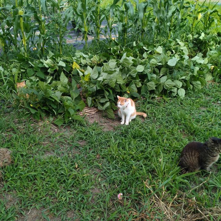 8e38dfc4 4218 494b b542 2bdeea16be40 1752225480390