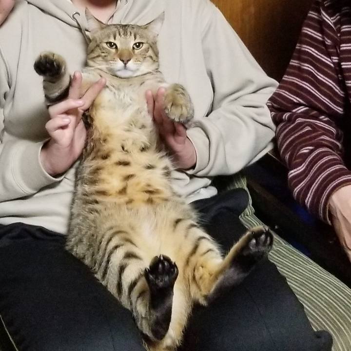 8e3901a3 814e 4bcc a6b7 6d259f6bb1b8 1646132815057