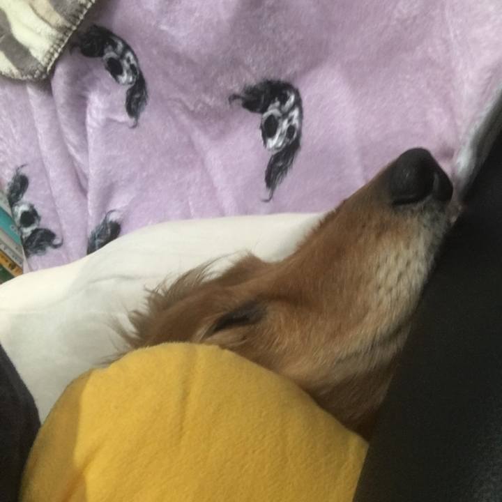 8e390322 be18 4836 99f8 89d87c0425f0 1590405514817