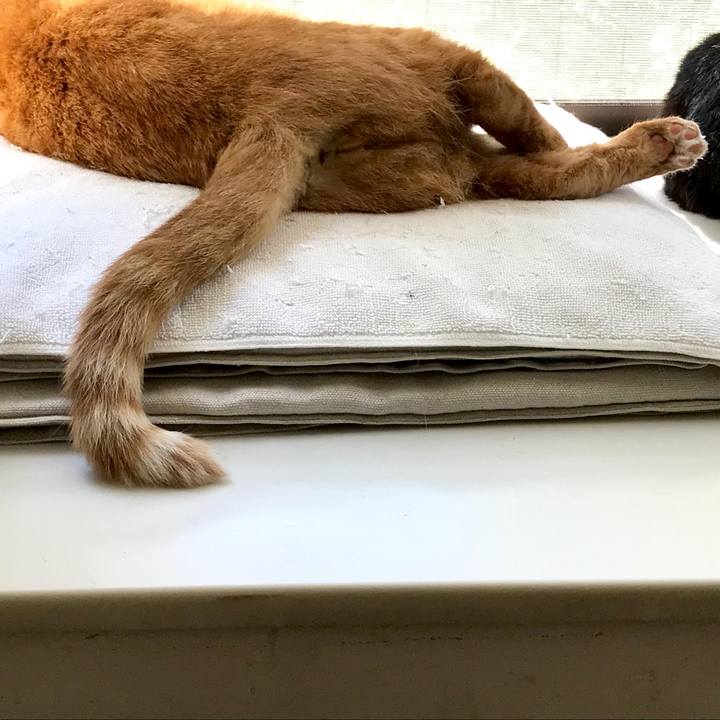 8e392750 af97 4e76 a57d ab2c8d597b23 1525063382362