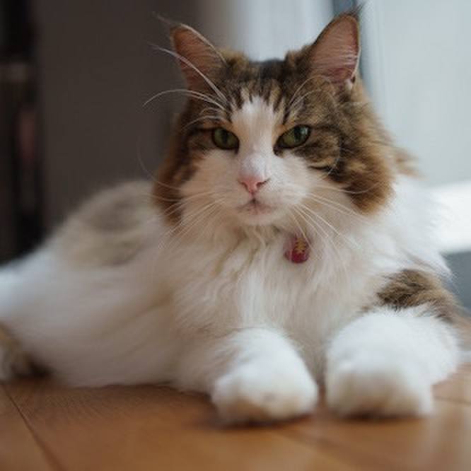 8e392a33 4ff7 473c b560 8dd3e3d5c119 1759982901614