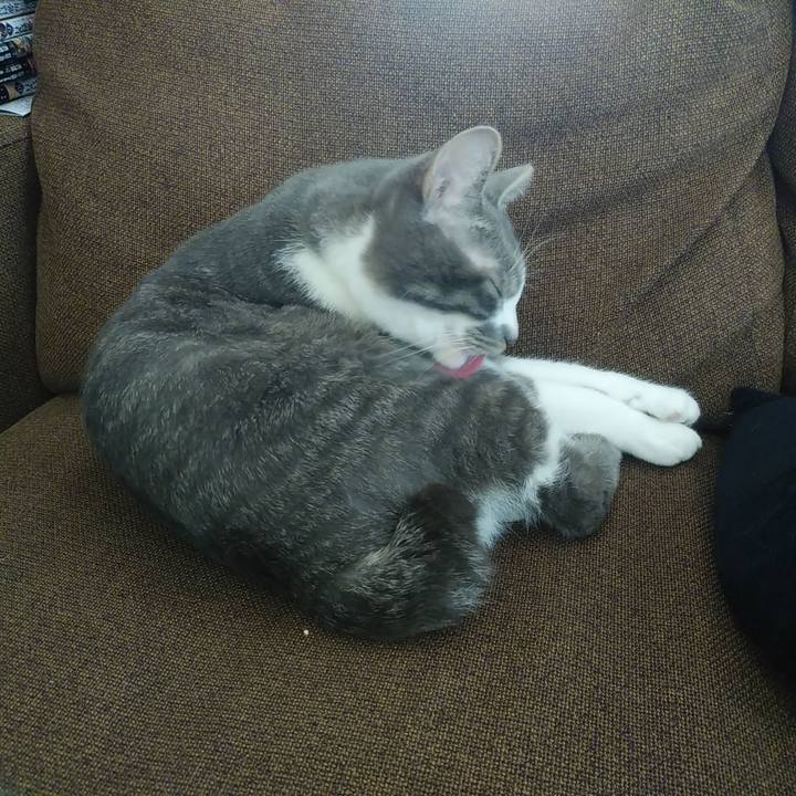 8e3949de 6a13 4188 a304 8d41b6f3a923 1588827040294