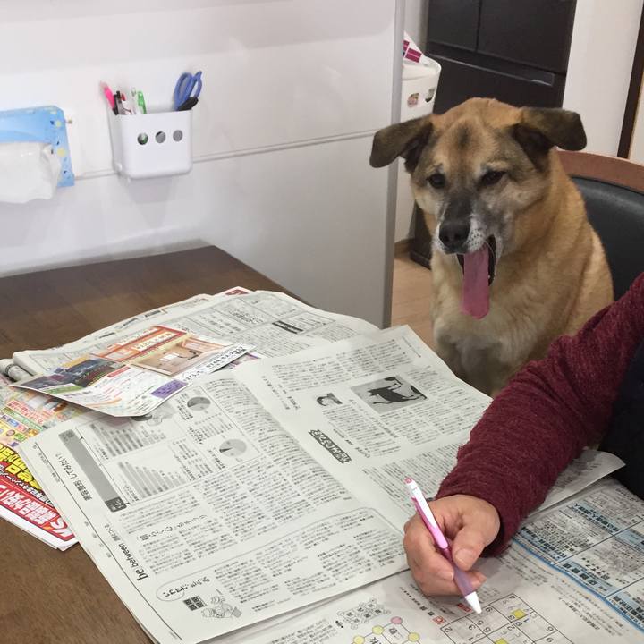 8e397876 55e1 4e07 993e a892b8118573 1517018811795