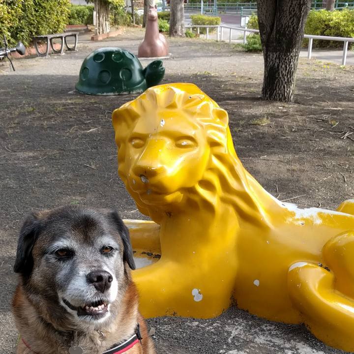 8e397a73 7c99 4767 b8e3 55ba884c2eee 1634085343319