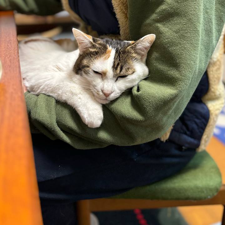 8e39c06d aa02 405c a951 2f733593ee99 1707869196465