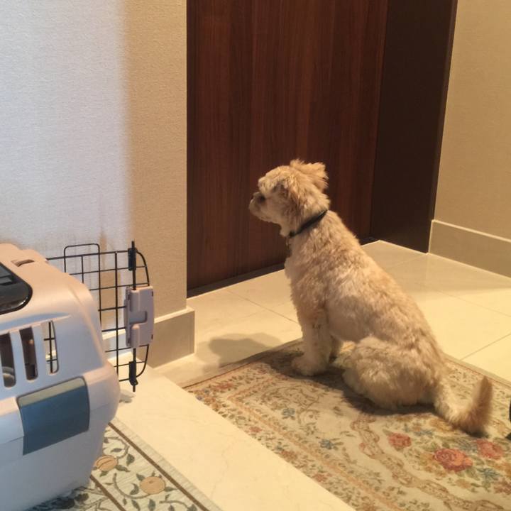 8e39cd0d 7b1d 4a7b 884f 86bf1f982eae 1530788909966