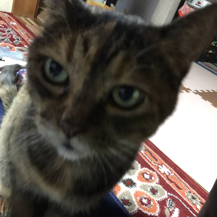 8e39de39 f504 4584 a88f fe63cefa8dd3 1538306313095