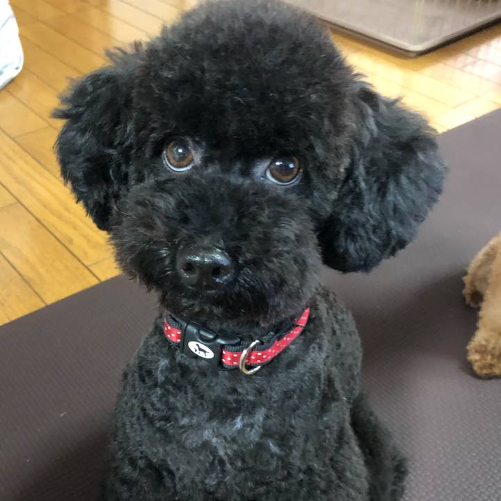 8e3a1fa5 fcf5 4856 8d35 e92fd61f6de6 1569149550647