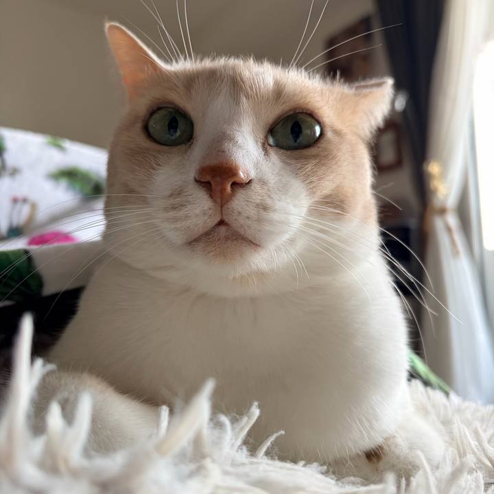 8e3a35ba 1b0a 46dd 8d6d 9adef159b2cc 1769470110682