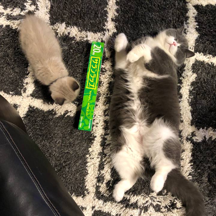 8e3a3e31 d4b3 4fbb a53d 67434f92a948 1585144649254