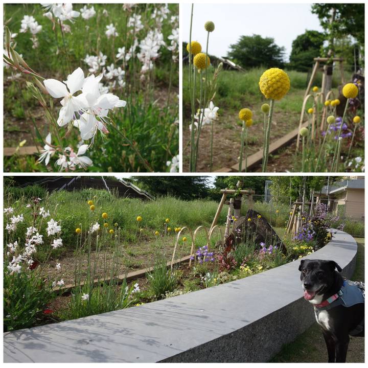 8e3a48a5 64ca 4e26 80ad 3dff33e13ada 1748479626879