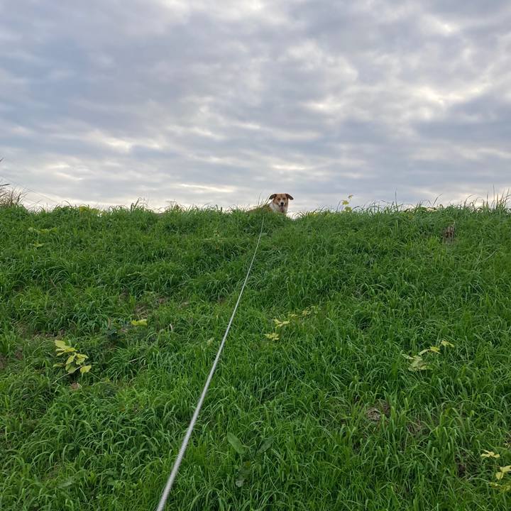 8e3ac812 26fc 4eda abf6 c33bde8d3cea 1731543722932