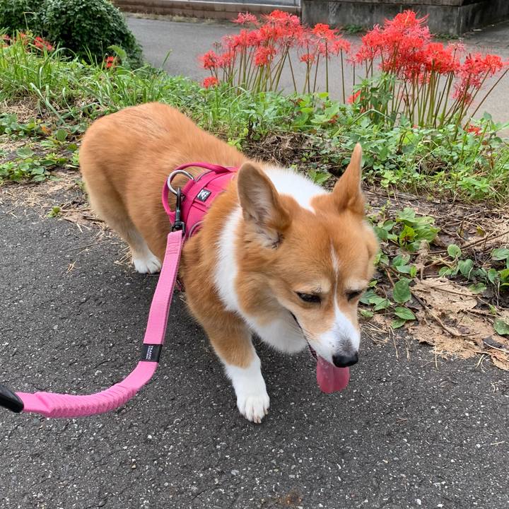 8e3b196d b317 4639 87cf 3d5209c216eb 1663737281114