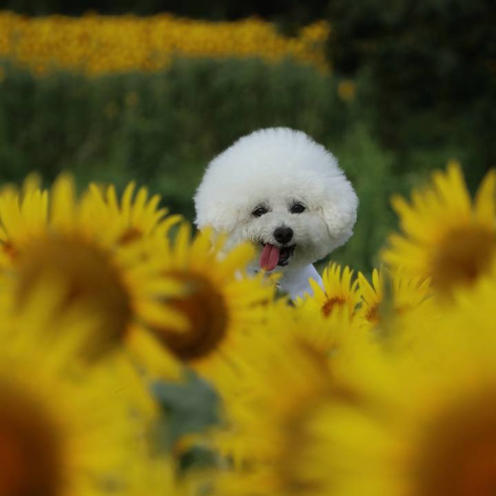 8e3b9515 226f 4e88 a65a 2364dc699e61 1755159748093