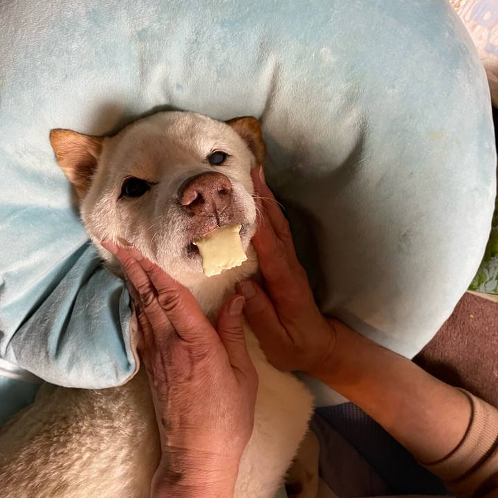 8e3b9828 08ea 4517 b2b5 731b82f210f4 1668592667470