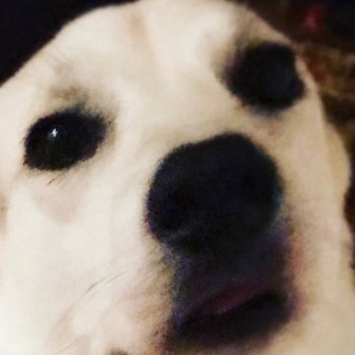 8e3b9bf4 ef7a 4925 9343 0b9f42a053bd 1715563680060