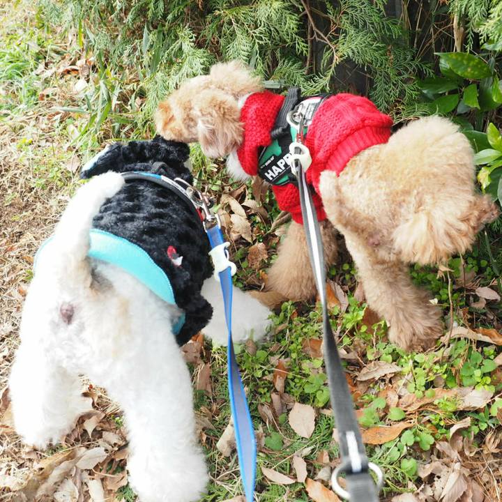 8e3ba366 728f 478a a2ca 6886026e954d 1514327462394