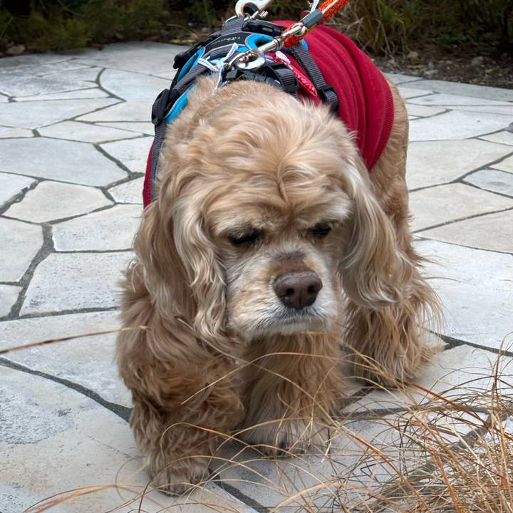 8e3c2a8c 953d 430f a780 345d8cc8c4e3 1772453369774