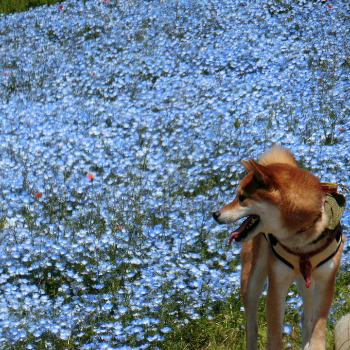 8e3c375b 61de 4824 b74a cb438aceab88 1524380816087