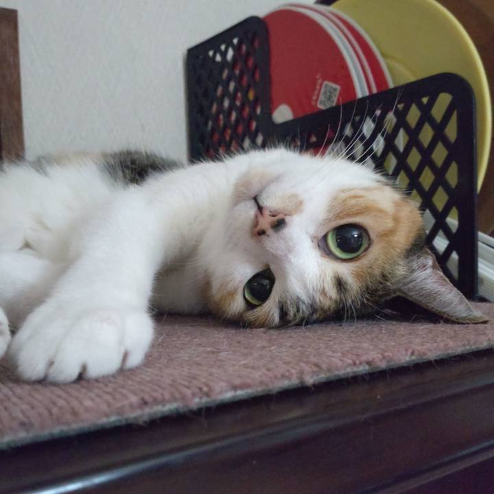 8e3c7c59 9b8d 48c5 b3b2 30f74c981c87 1682777673841