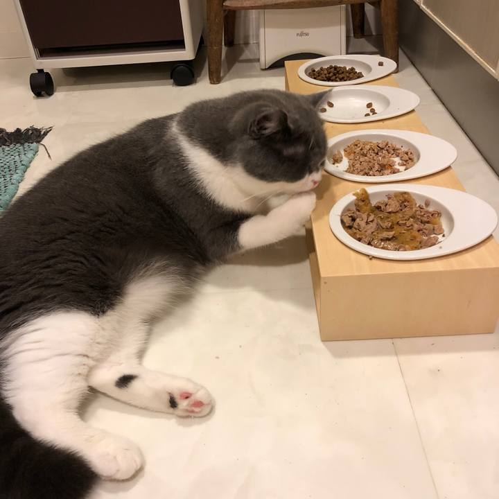 8e3c8207 8424 4e48 9363 d1e9371ef109 1537054874063