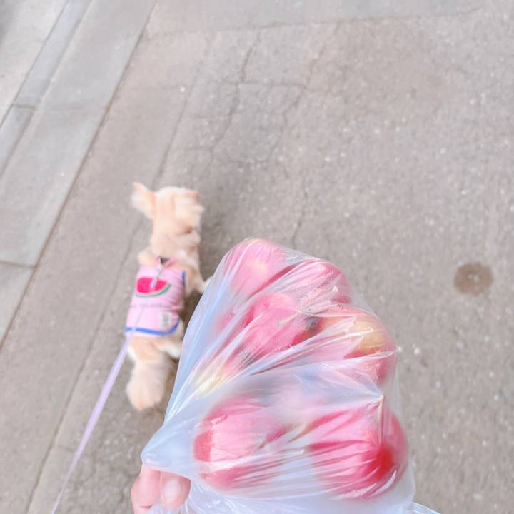 8e3cace4 989e 4f5d 9cc8 2b483d084228 1655036747122