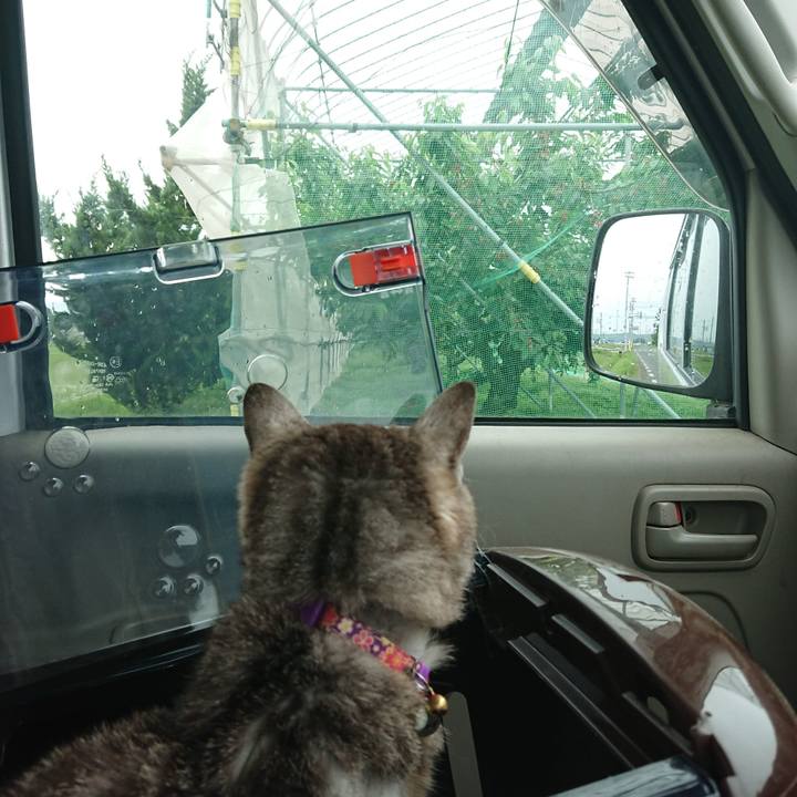 8e3cfed5 27a1 4522 835b 52030d6ccaad 1592015623408