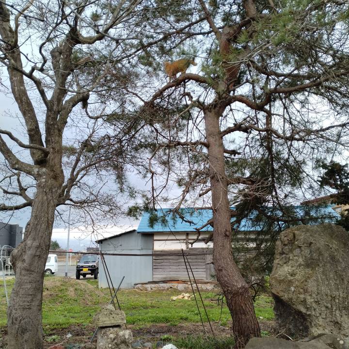 8e3d331e 593e 4480 8f7f a74e3de7aec0 1680906752787