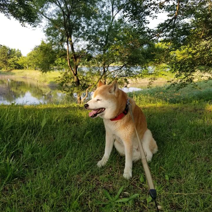 8e3d3d35 de7c 47dd 8855 5ee9ec26e452 1718353424087