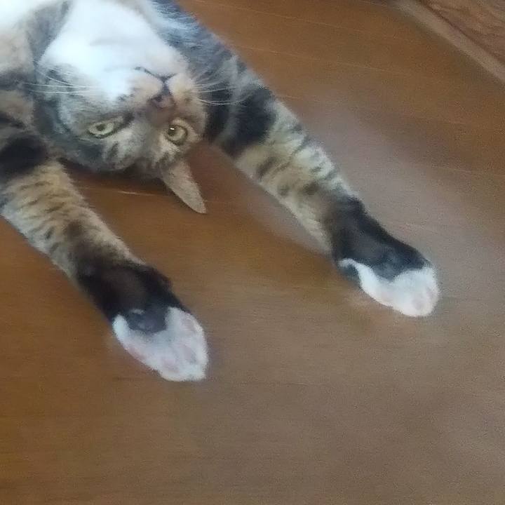 8e3d7705 d91e 4f21 8d0e 5b5de4d47c1f 1692348110193