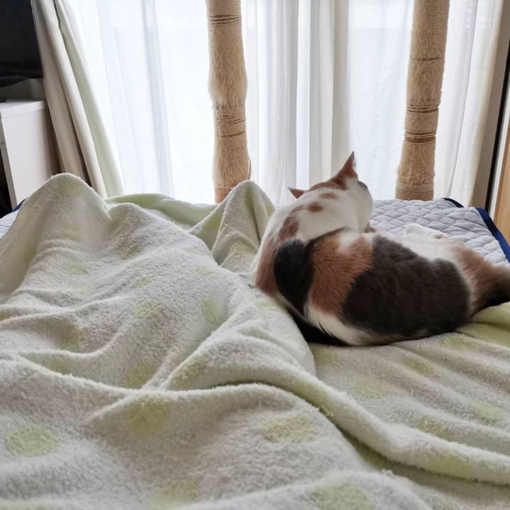 8e3d8d1b a098 4fff af27 4b64a58a0613 1625802162773