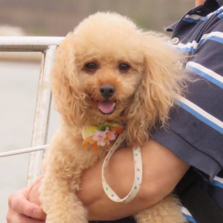 8e3d9cd4 88e8 4b7e 8e2a 0ada59c16974 1591422925153