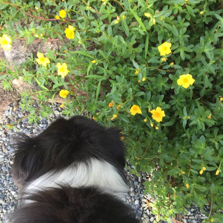 8e3daf42 b449 4d76 9df8 3125d0723d69 1534919411305