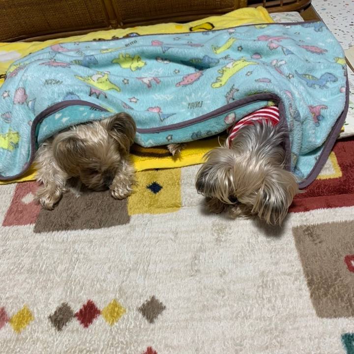 8e3dd388 1429 48fd a616 223525bc5018 1676369183919