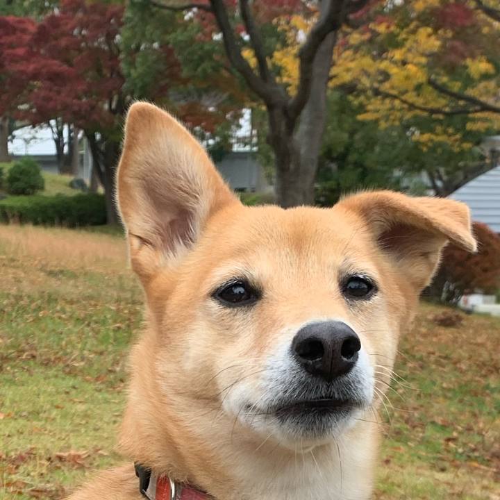 8e3df15e 9a6c 43b4 b0ba fd9bc064af6b 1574762924008