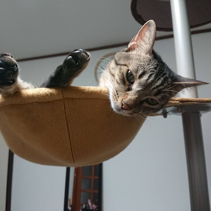 8e3df4a4 6ad7 4749 858d 9181b782e810 1534679421637