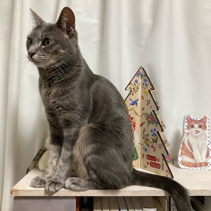 8e3dfa0a 9b27 4211 a239 c8b7bc3a3d8b 1647790761829