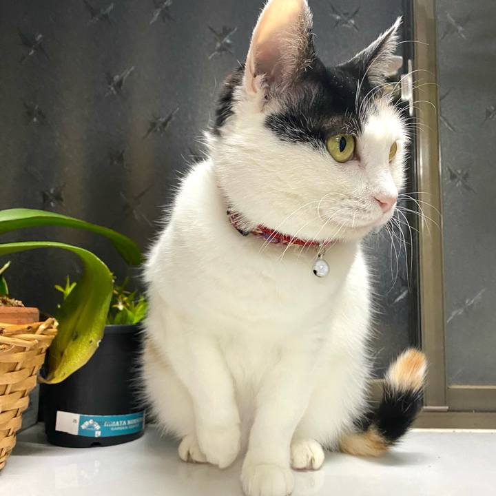 8e3e053d 309a 4944 a4bf 98c50930c8c1 1678371466487