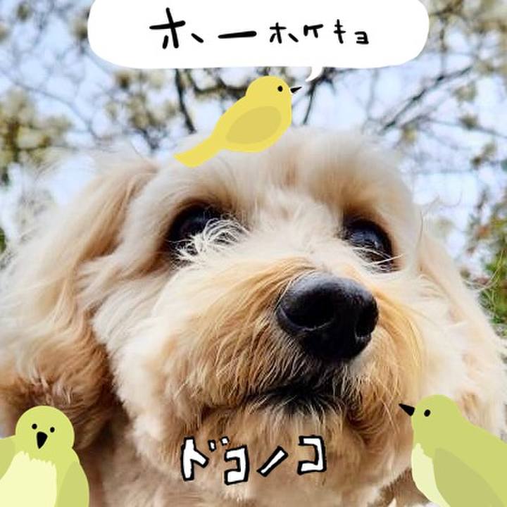 8e3e09d4 9153 4372 aca6 a78ccec5c52c 1710987858511