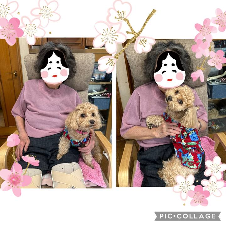 8e3e0fa1 8574 4ca2 b095 2cb582663483 1745046649703