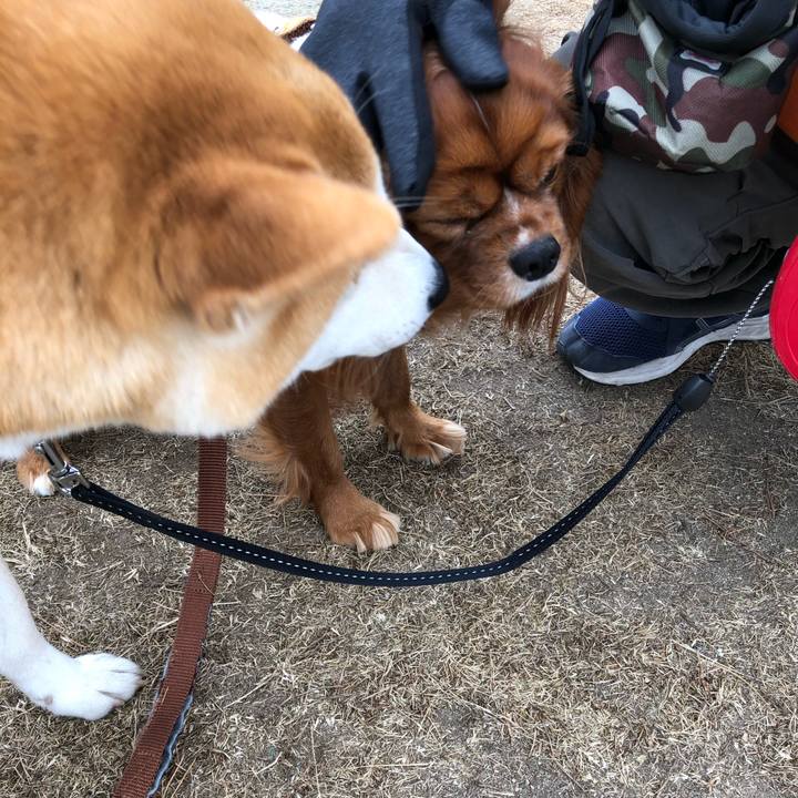 8e3e2b89 f5c8 4010 8e68 3e8583d9107d 1610326448312