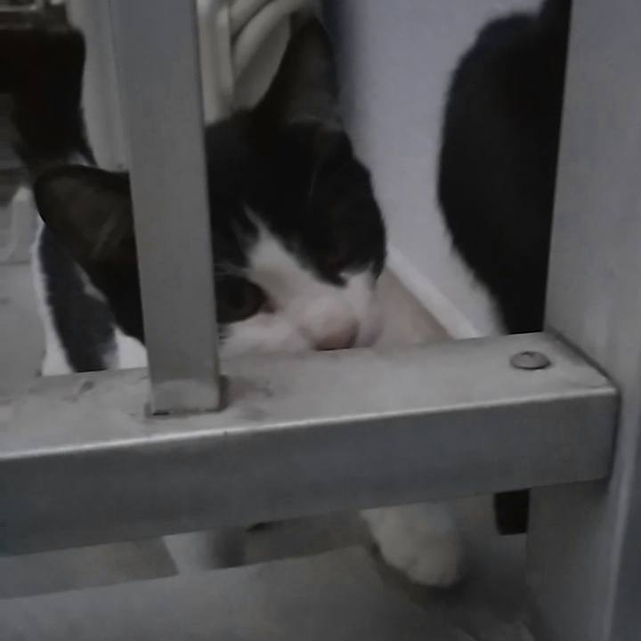 8e3e49b6 aaa8 479b 9efe 78377193c967 1542787977831