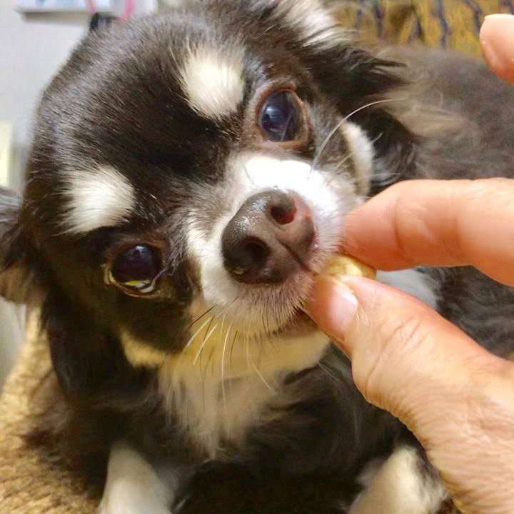 8e3e771c fe01 4112 adcc a8408b2032b8 1552979871818