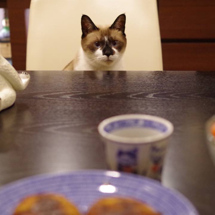 8e3eb2de 1ea0 47ec 99af 207899209102 1541932287925