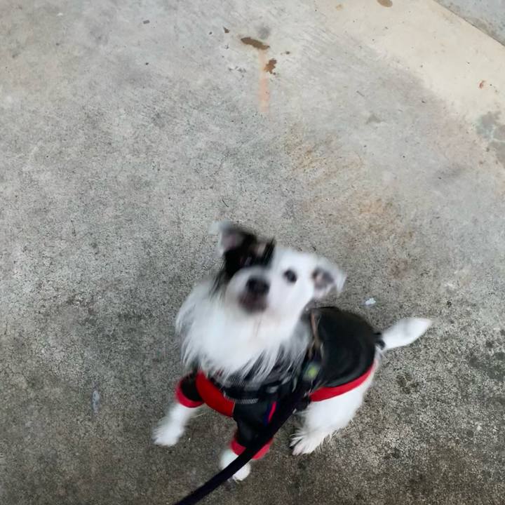 8e3eb64e 7c42 4937 9be3 8c7f62d6034f 1702625768614