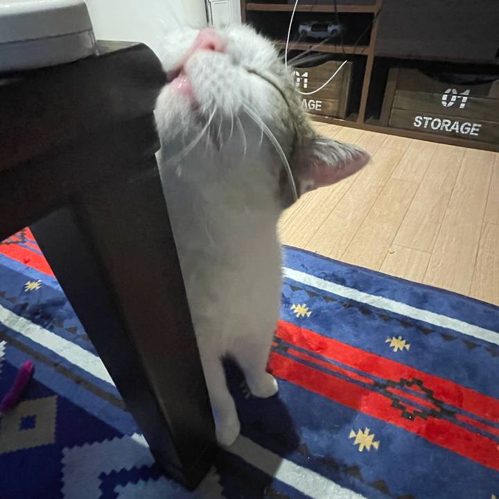 8e3f6000 56c3 4a66 a7a5 a0f06d91750b 1625310447844