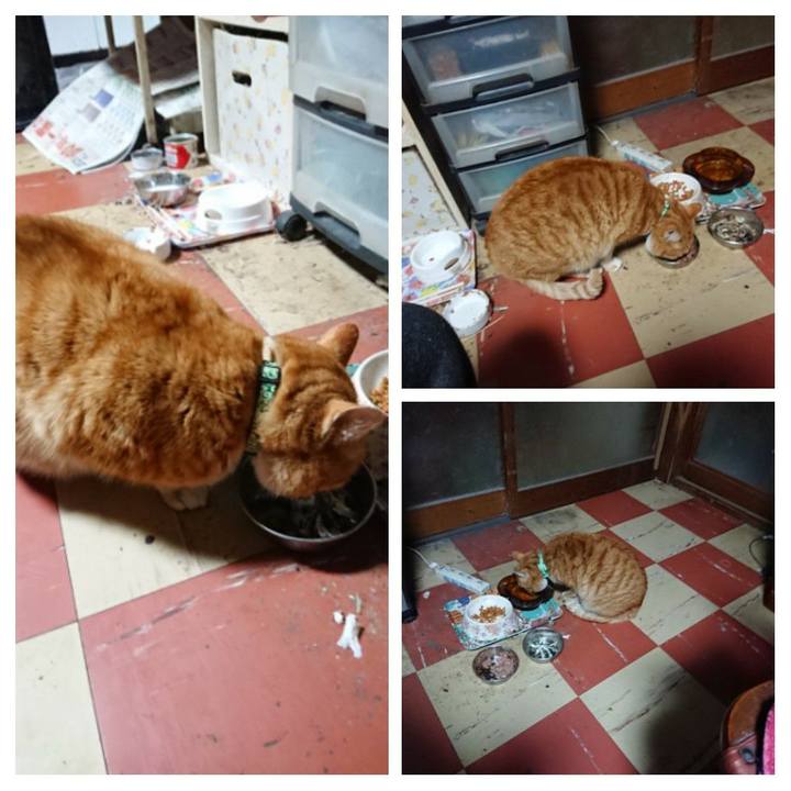 8e3f9e65 62c5 4f74 b54b 424751d68810 1581195343914