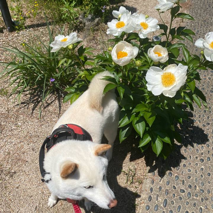 8e3fdf88 5fb2 4726 8fce b59330766a25 1652166239815